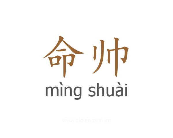 命帅