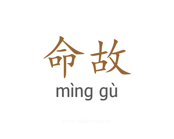 命故
