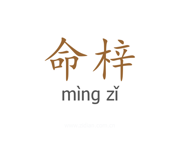 命梓