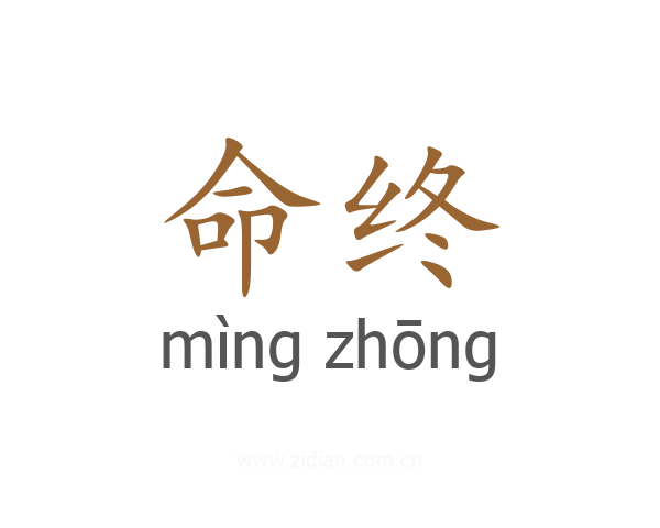 命终