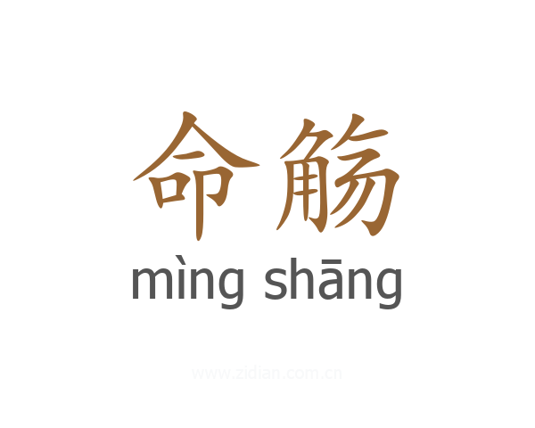 命觞