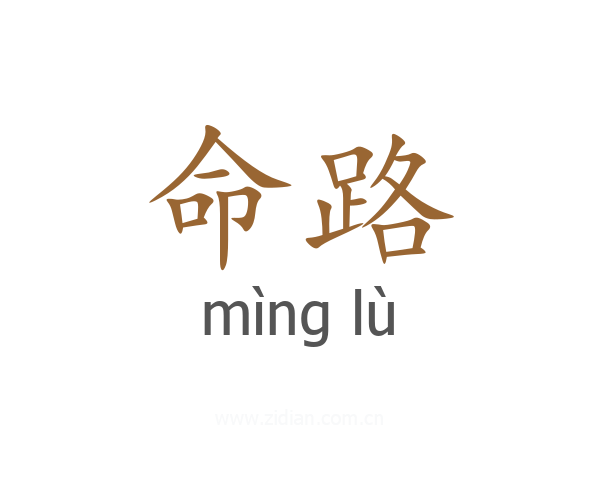 命路