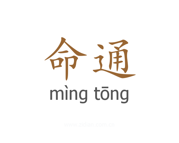 命通