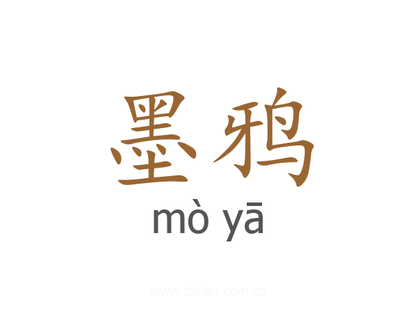 墨鸦