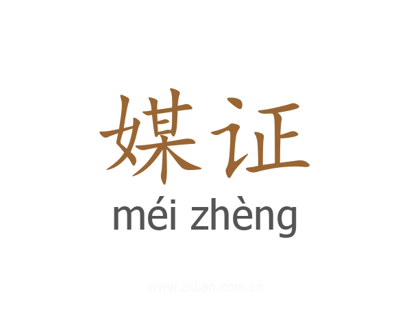 媒证