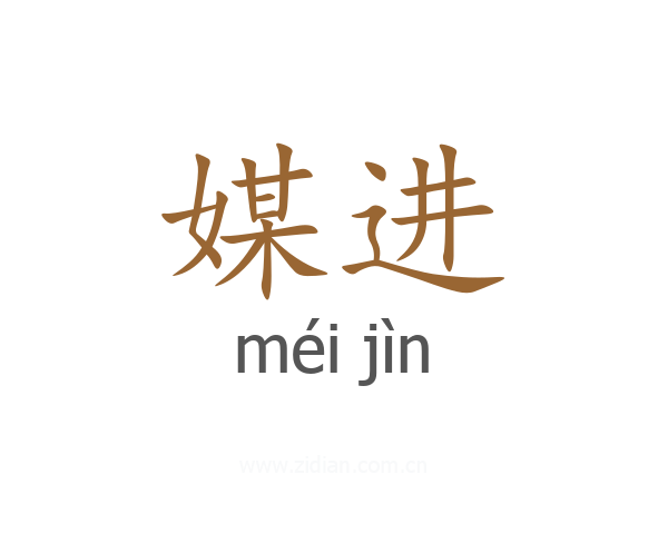 媒进