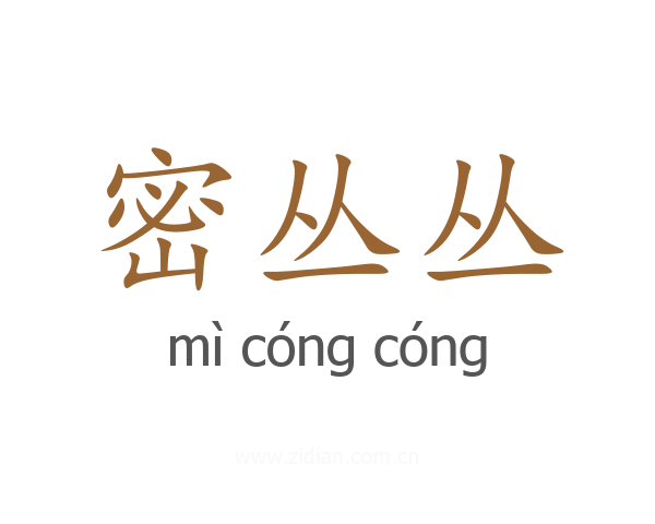 密丛丛