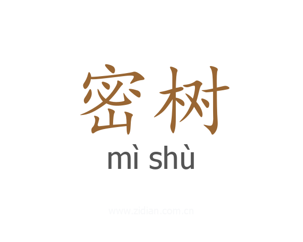 密树