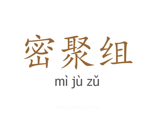 密聚组
