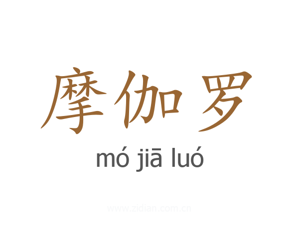 摩伽罗