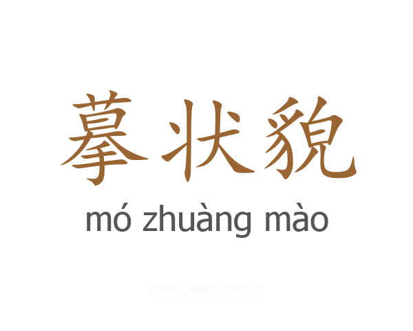 摹状貌