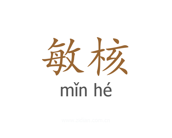 敏核