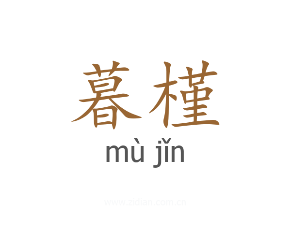 暮槿