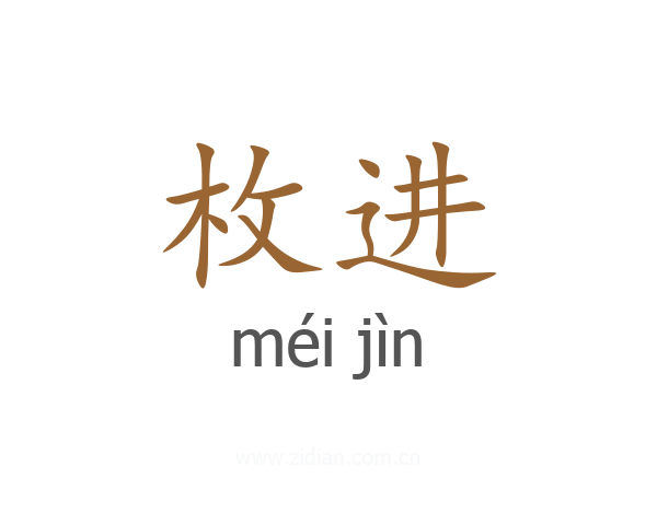 枚进