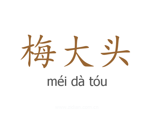 梅大头