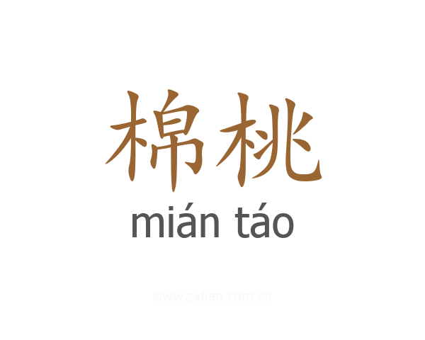 棉桃