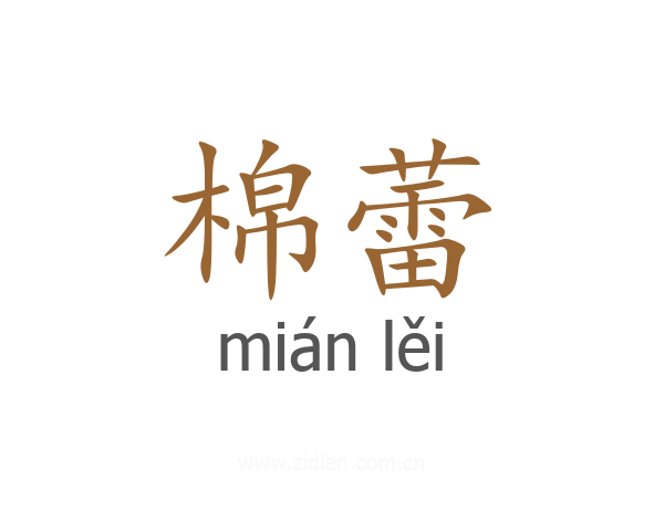 棉蕾