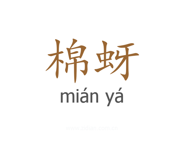 棉蚜