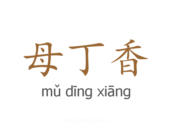 母丁香