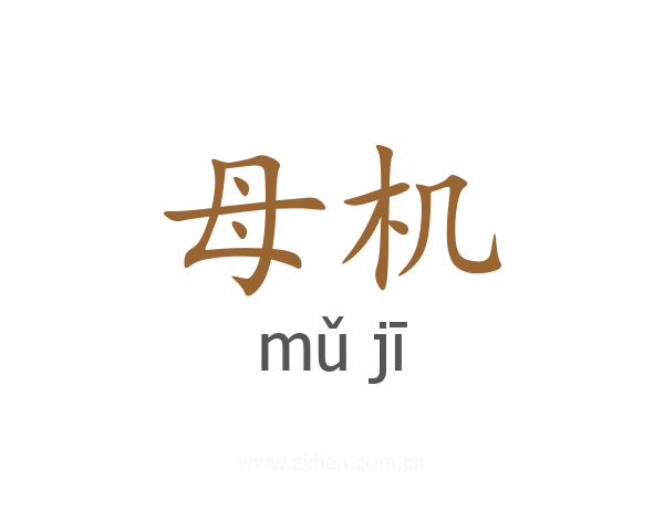 母机