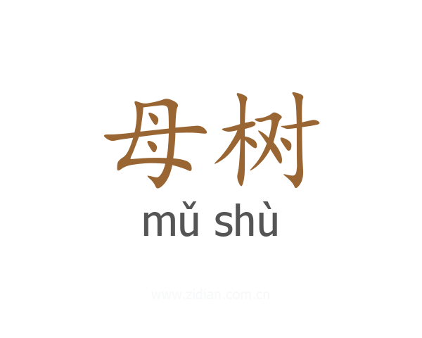 母树
