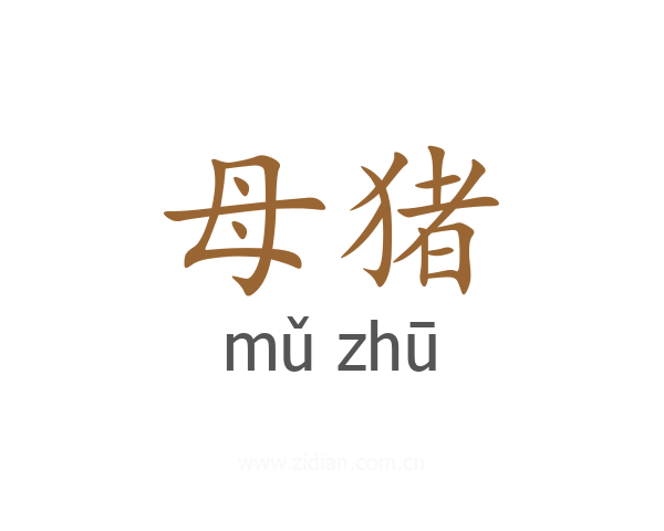 母猪