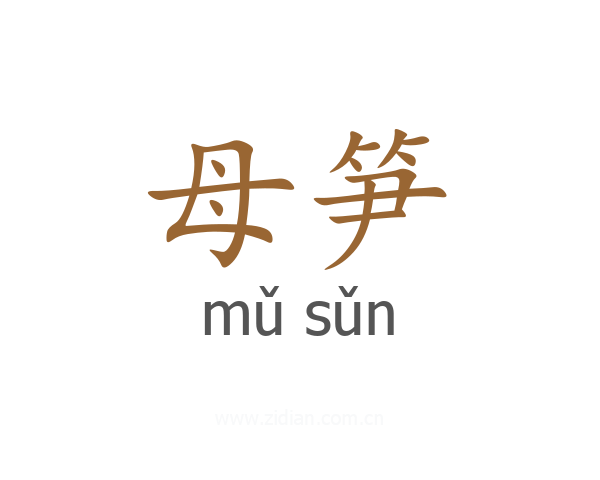 母笋