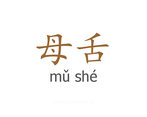 母舌