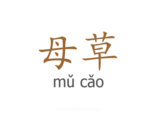 母草