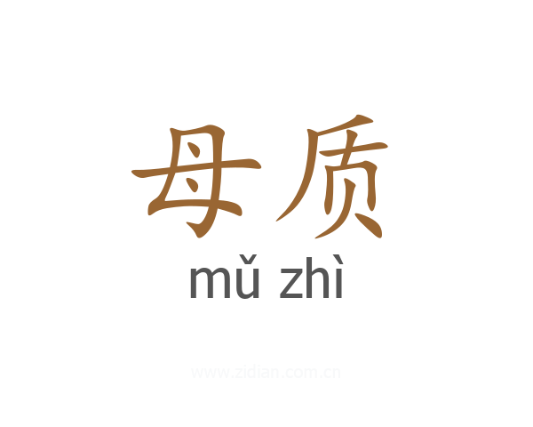 母质