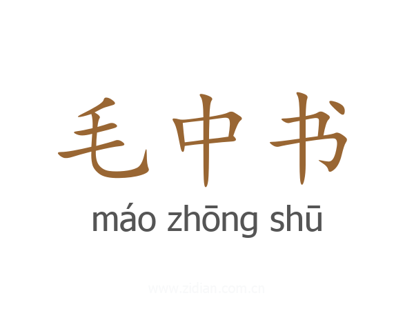 毛中书