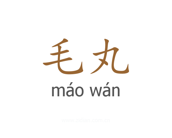 毛丸