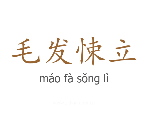 毛发悚立
