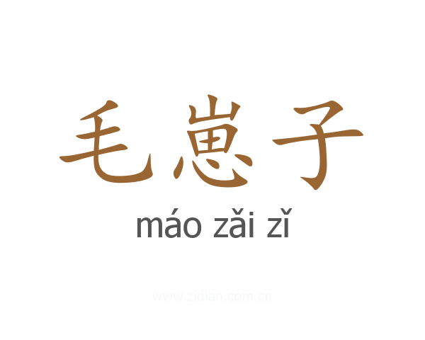 毛崽子
