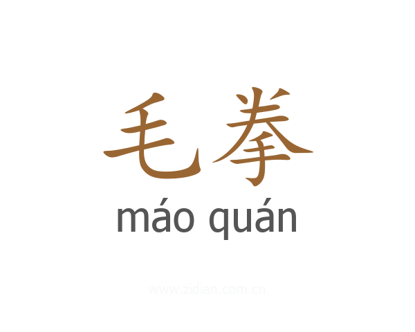 毛拳