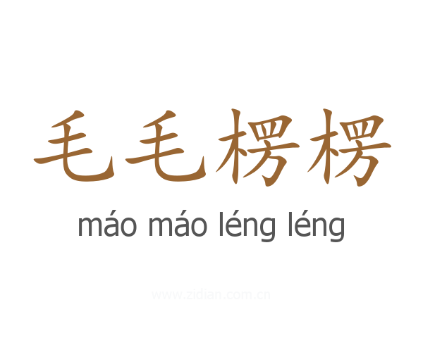 毛毛楞楞