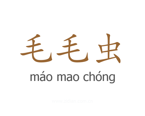毛毛虫