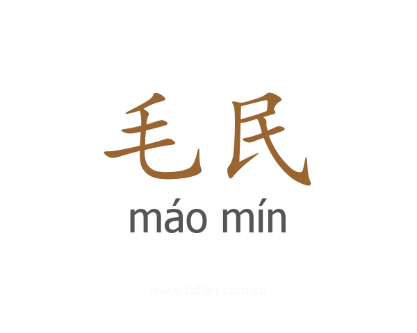 毛民