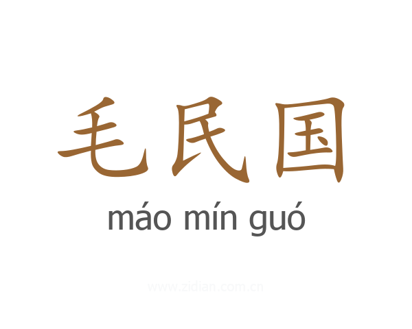 毛民国