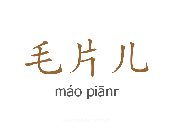 毛片儿
