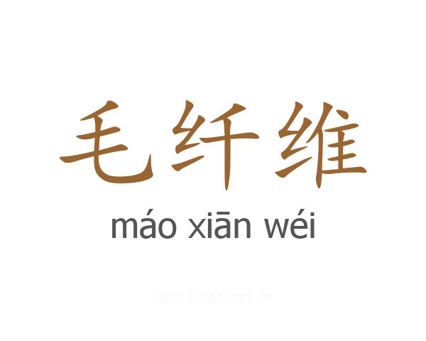 毛纤维
