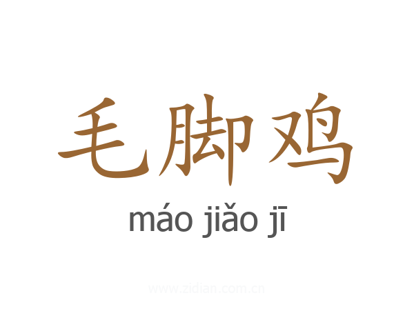 毛脚鸡