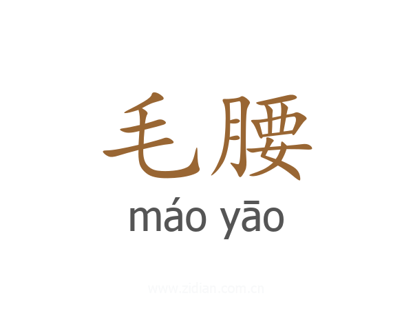 毛腰