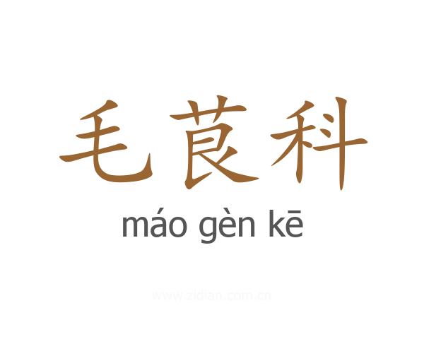 毛茛科