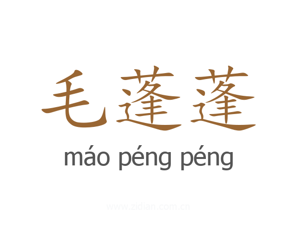 毛蓬蓬