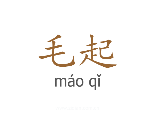 毛起