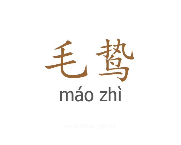 毛鸷
