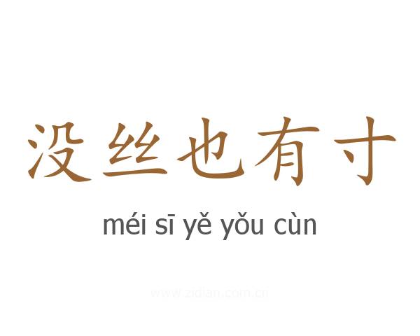 没丝也有寸