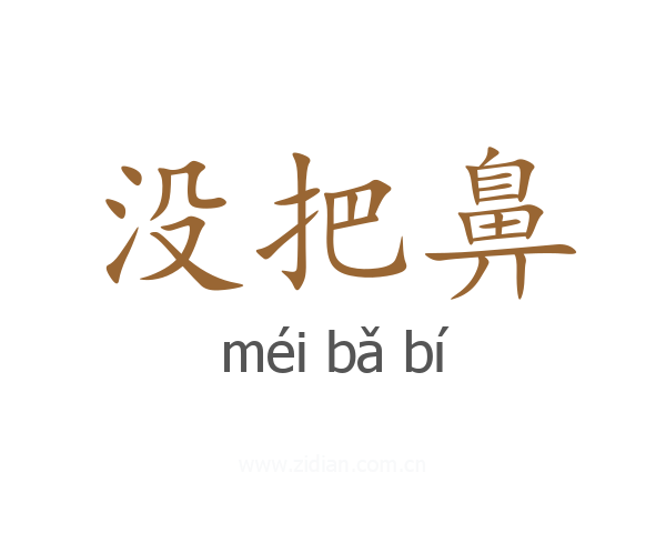 没把鼻