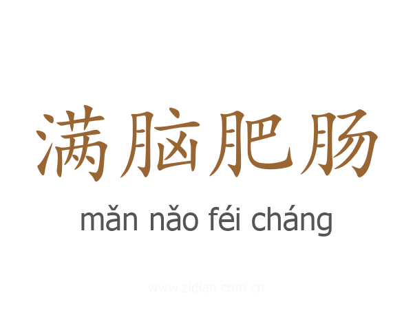 满脑肥肠